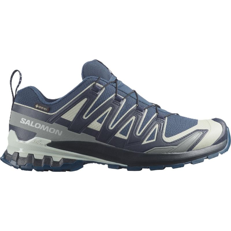Salomon XA Pro 3D V9 GTX
