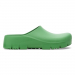 Bold Green