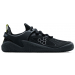 Obsidian