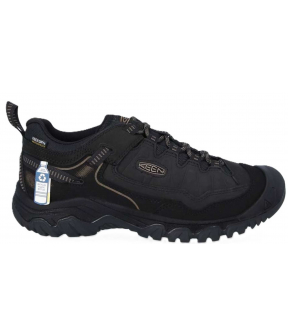 Targhee IV WP M
