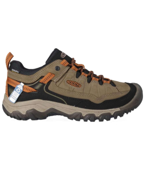 Targhee IV WP M