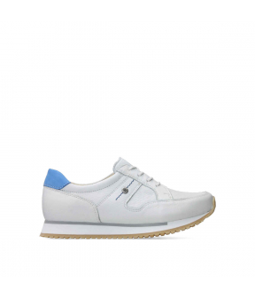 E Walk